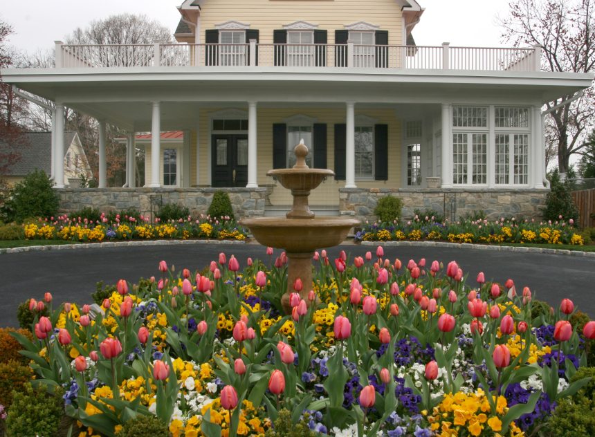 Foundatin with Tulips, Curb Appeal