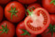 ISTOCK Tomato