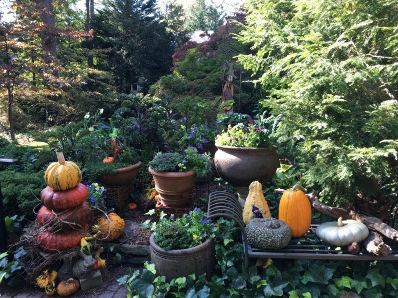 Bulb Containers in the Landscape