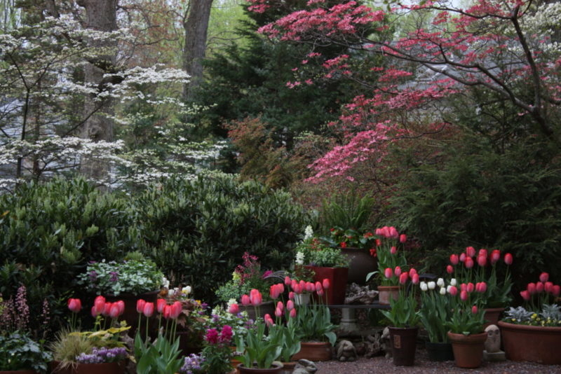 Bulb Containers in the Landscape