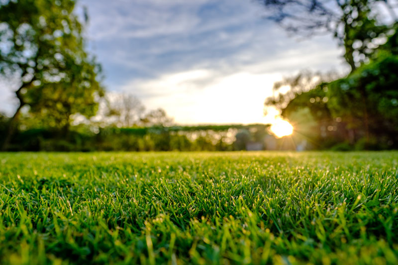 Turf Tips and Lawn Care for Green Grass