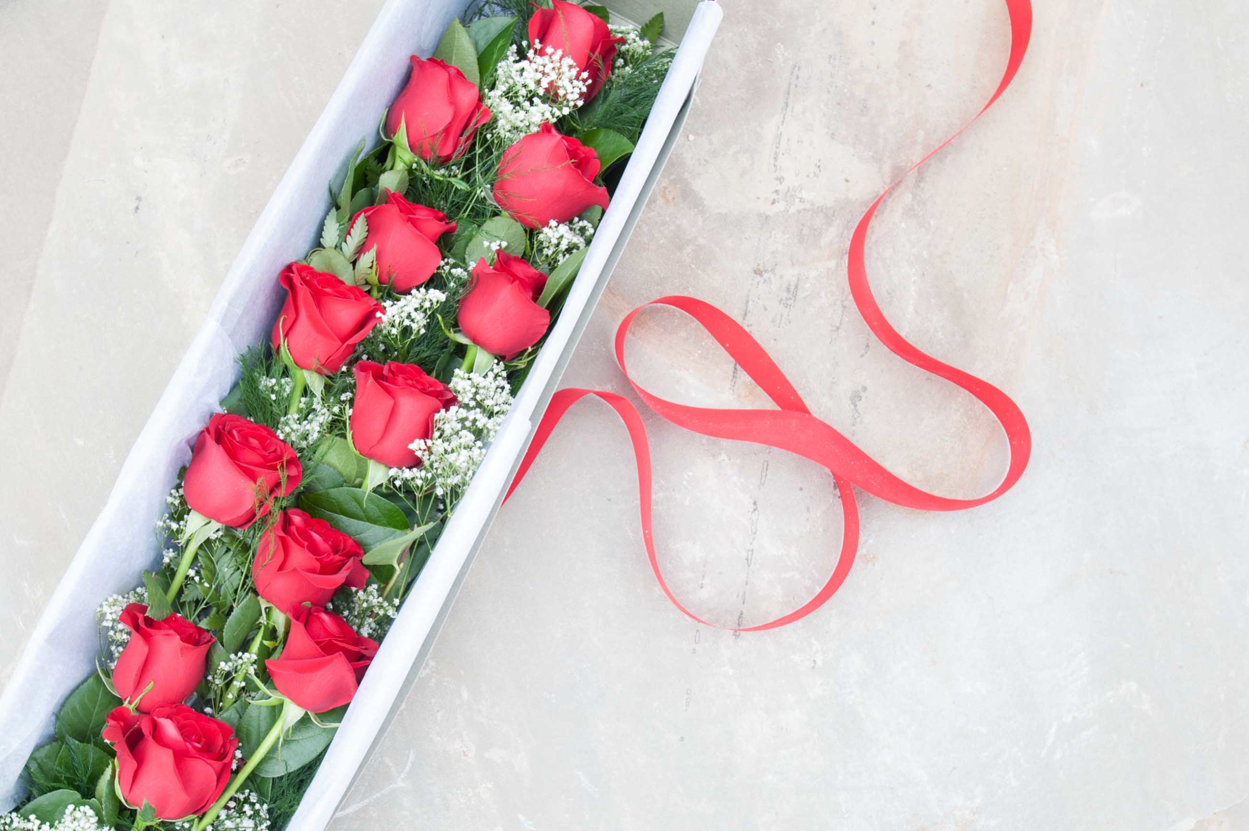 Long Stem Roses, Valentine's Day