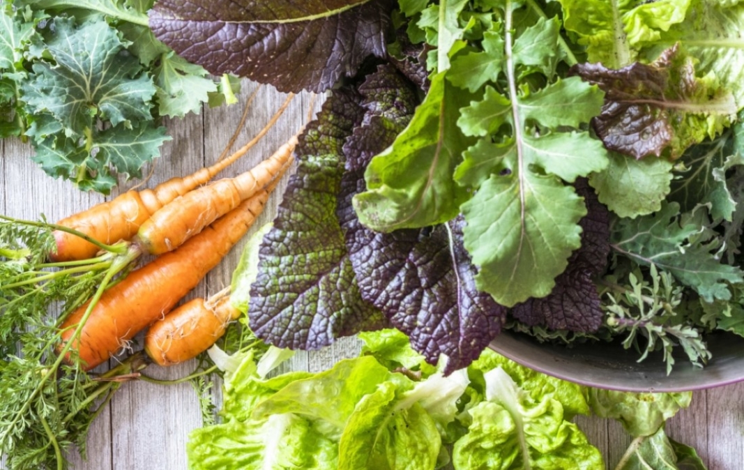 ISTOCK Cool season lettuce, carrots, vegetables