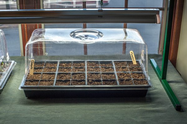 Seed Tray with Dome