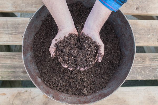 Seed Starting Planting Mix