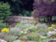 Perennial Garden with Bridge