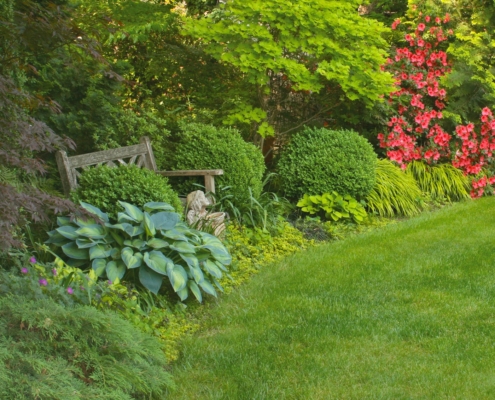 Shade Garden Border with Hosta, Azalea, boxwood and ornamental grass, Landscape Design