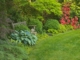 Shade Garden Border with Hosta, Azalea, boxwood and ornamental grass, Landscape Design