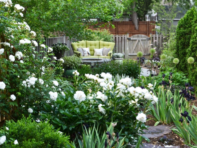 Townhouse Garden Bed with Roses, Allium and Iris, Landscape Design