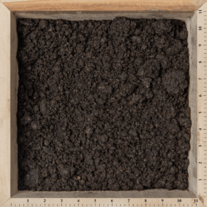 Composted Manure