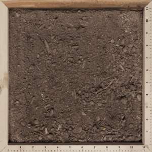Topsoil