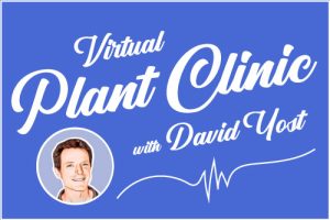 Virtual Plant Clinic
