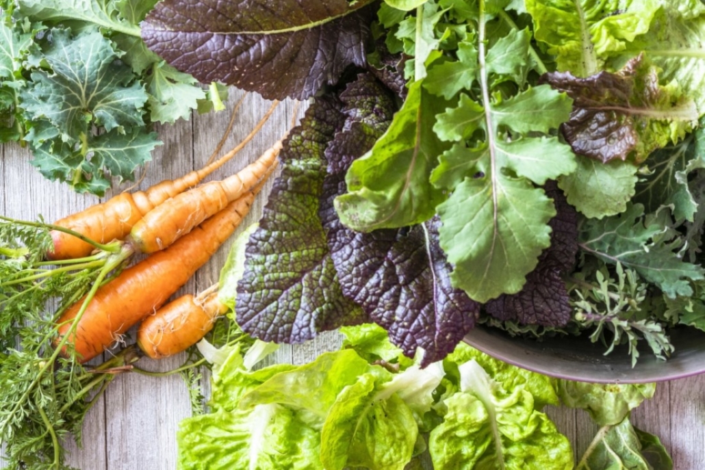 Cool Season Vegetables