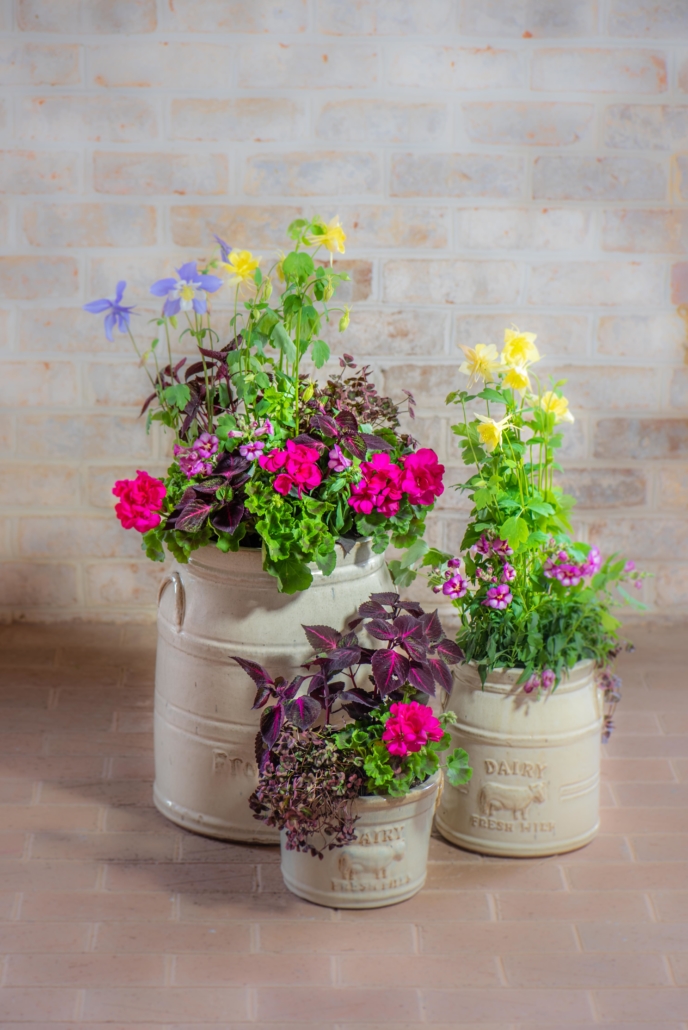 Sun Container for Spring