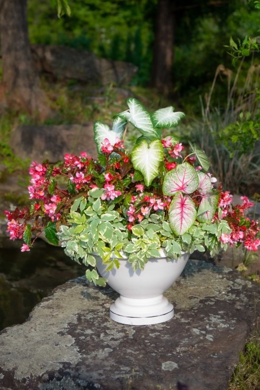 Shade Container for Summer