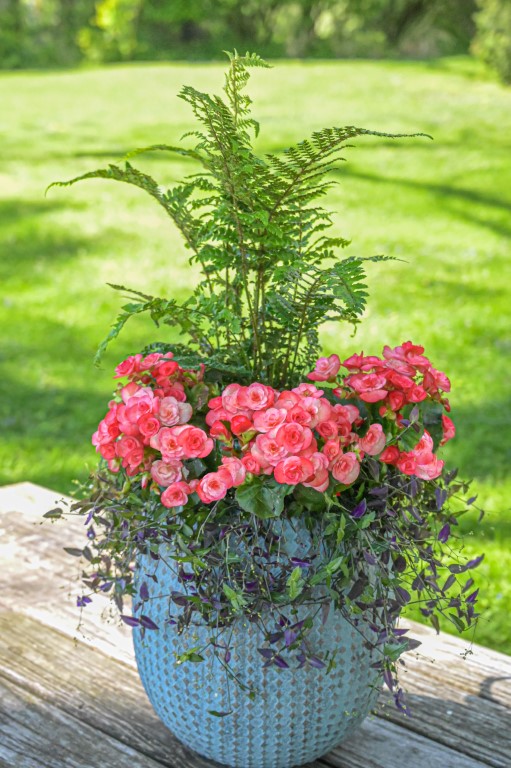 Shade Container For Spring/Summer