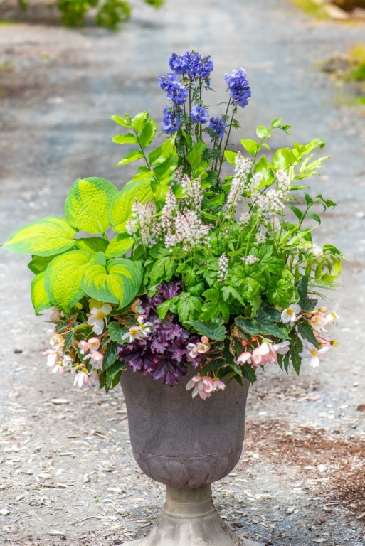 Shade Container