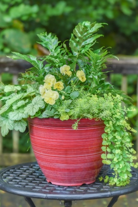 Shade Container for Fall