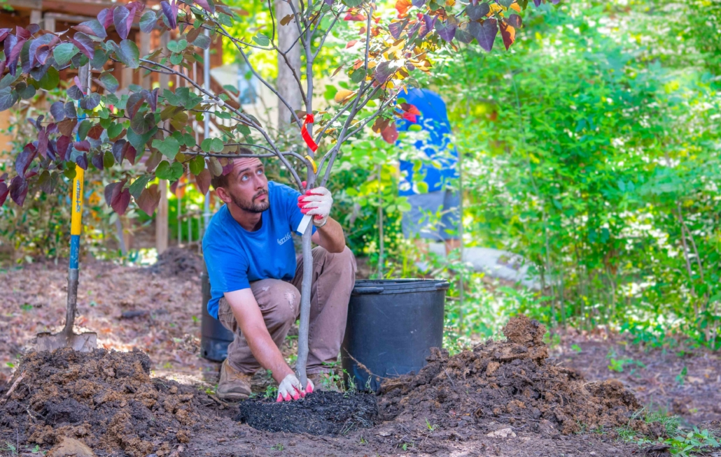 Planting Guide