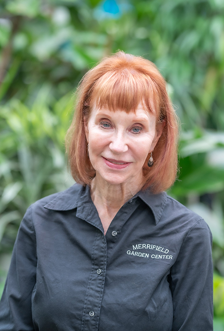 Linda Whitehead