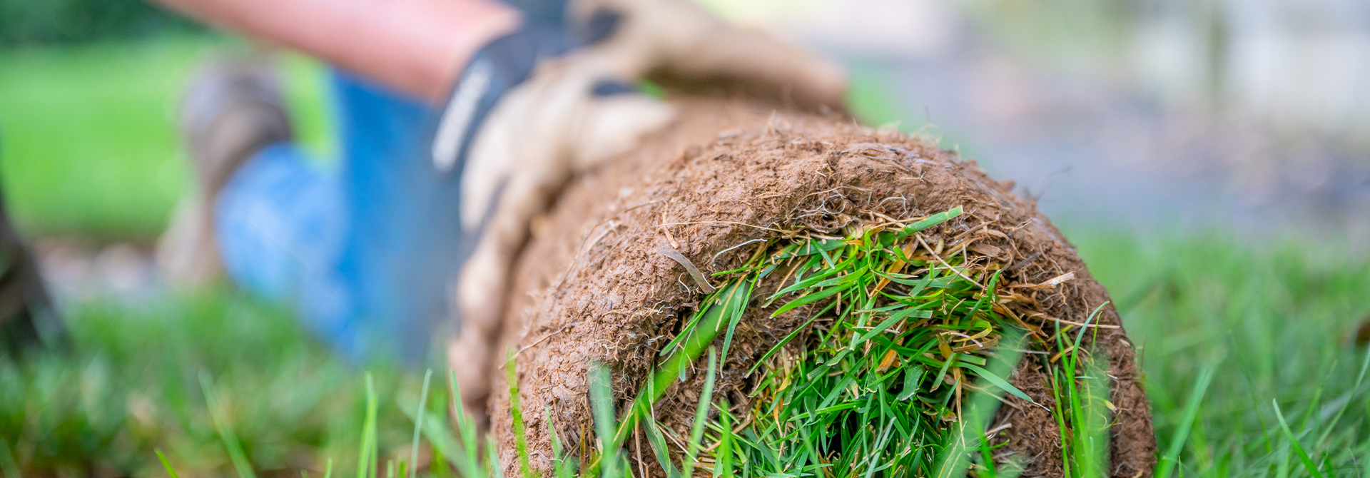 Sod & Grass Seed