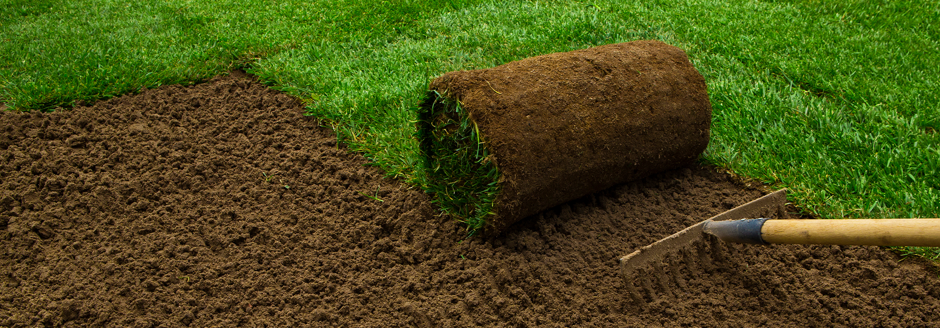 Caring for your New Sod