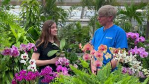 3 Reasons Why Your Orchids Aren’t Reblooming