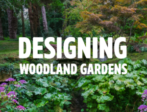 Designing Woodland Gardens