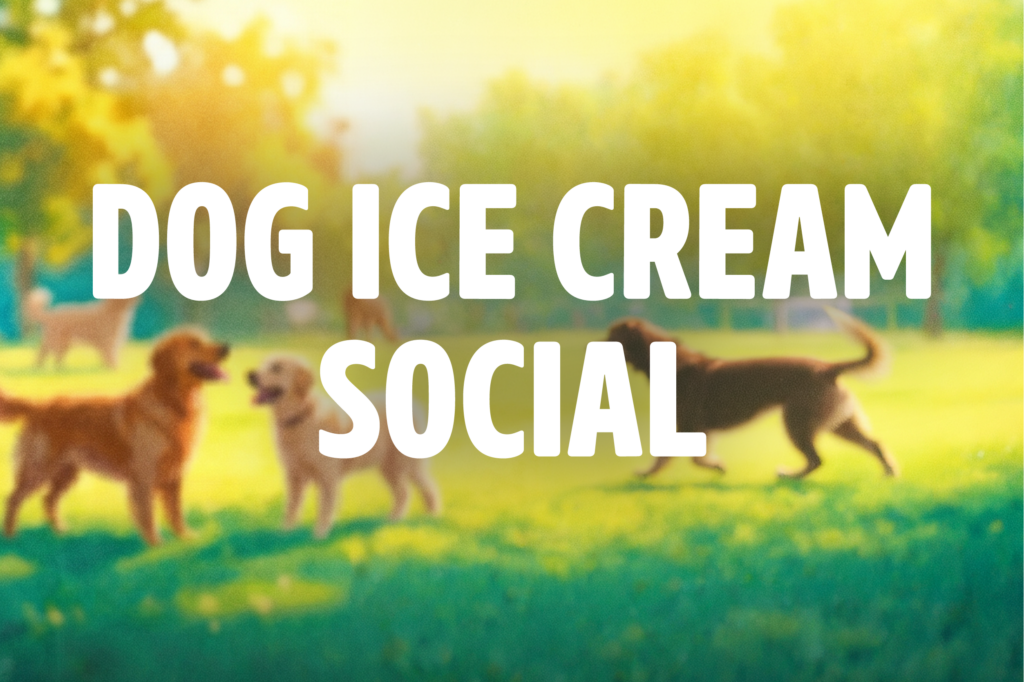 Dog Ice Cream Social