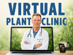 Virtual Plant Clinic: Lawn Care