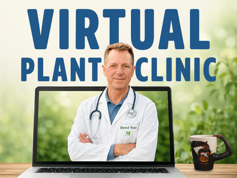 Virtual Plant Clinic