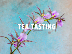 Tea Tasting in the Greenhouse