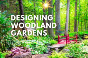Designing Woodland Gardens
