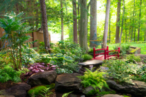 SOLD OUT – Shade Garden Bed Planning Workshop