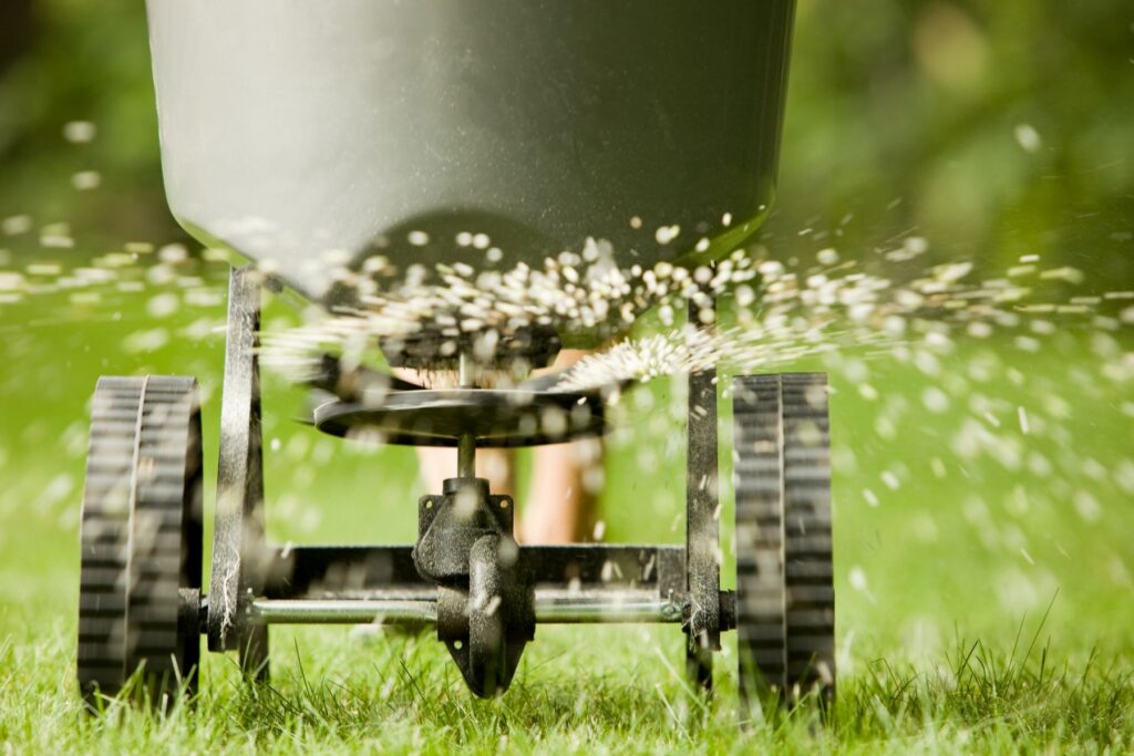 Fall Lawn Care