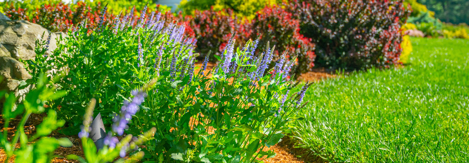 Mulches