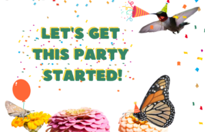 Pollinator Party