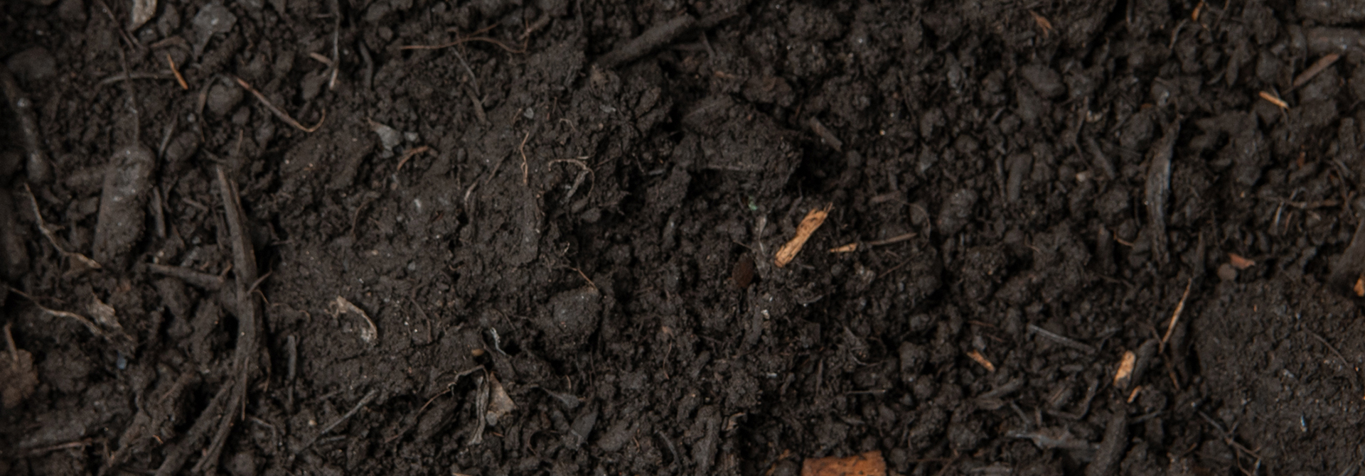 Soil Amendments & Potting Mixes
