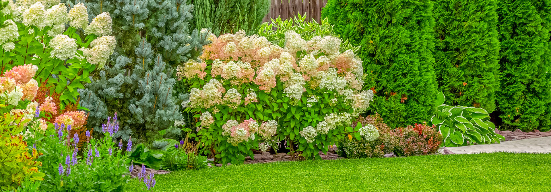 Fertilizers