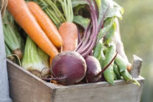 Fall Vegetable Gardens Tour