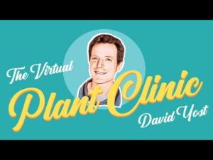Virtual Plant Clinic – Natives