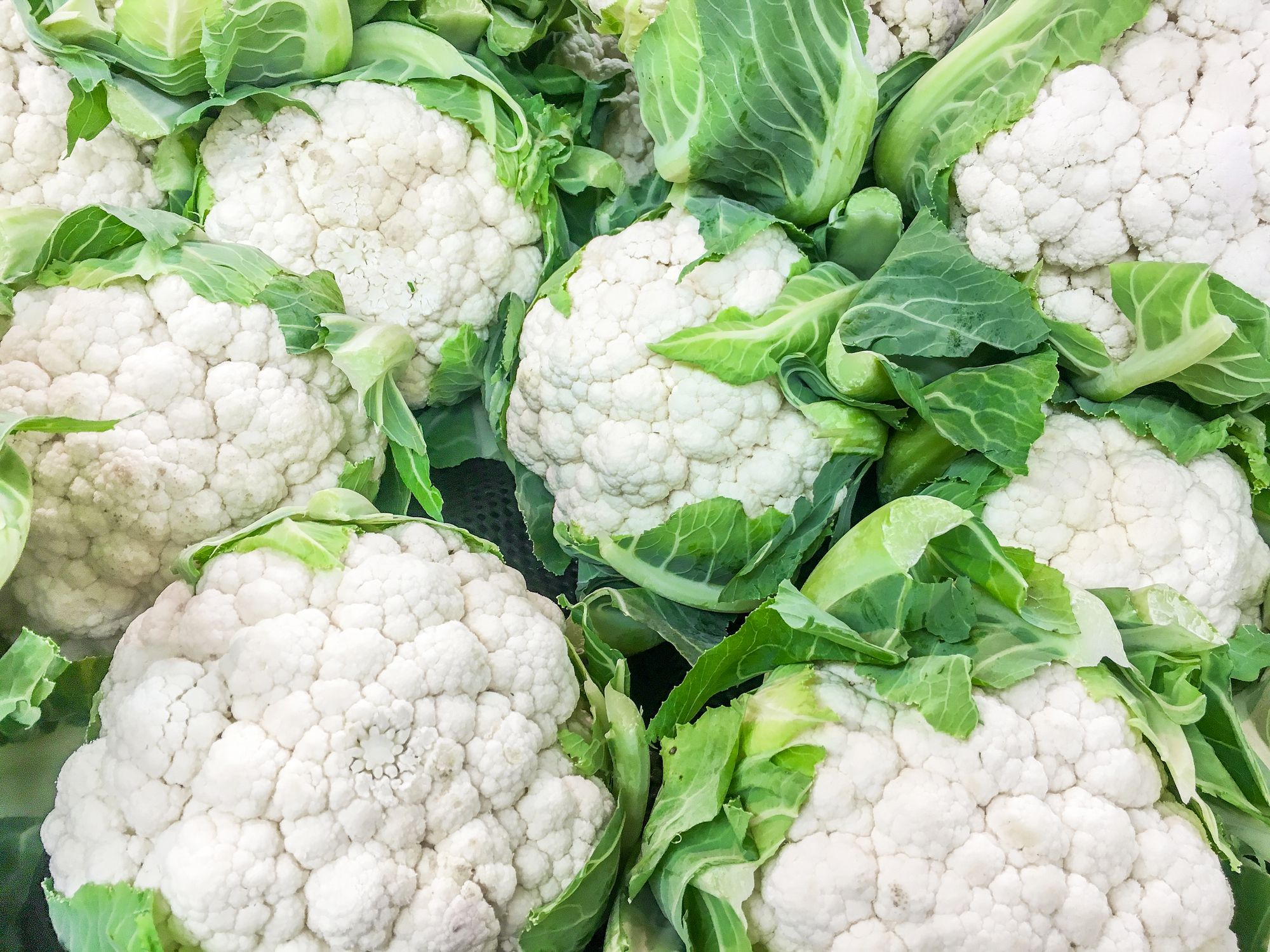 Broccoli, Cauliflower, Brussels Sprouts and Cabbage Guide
