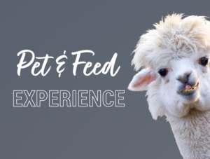 Pet and Feed Experience: Merrifield Location