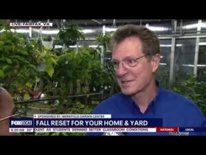 Merrifield Garden Center 6am hour on Fox 5 Local News