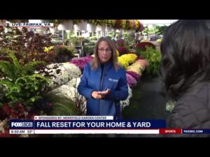 Merrifield Garden Center 8am hour on Fox 5 Local News