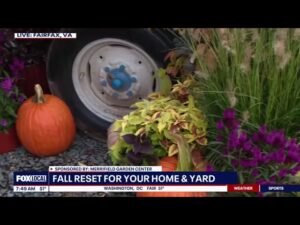 Merrifield Garden Center 7am hour on Fox 5 Local News